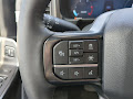 2025 Ford F-250SD Platinum