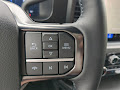 2025 Ford F-250SD Platinum