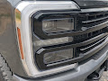 2025 Ford F-250SD Platinum