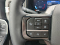 2025 Ford F-250SD Platinum