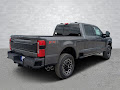 2025 Ford F-250SD Platinum
