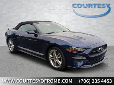 2019 Ford Mustang