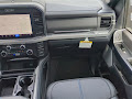 2025 Ford F-250SD Platinum