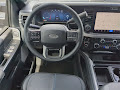 2025 Ford F-250SD Platinum