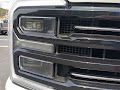 2025 Ford F-250SD Platinum
